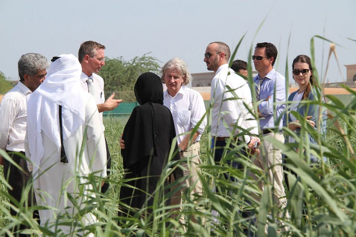 Al Hamra Kläranlage Al Hamra
