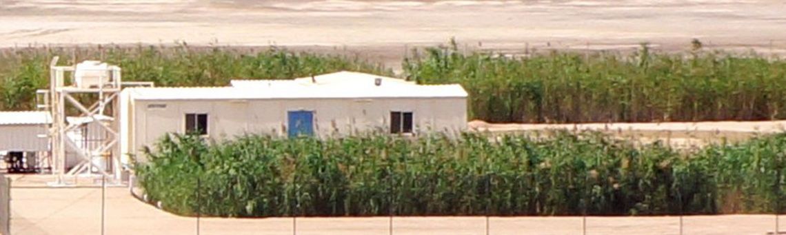Sir Bani Yas Schilfbeet Schilfkläranlage in Abu Dhabi