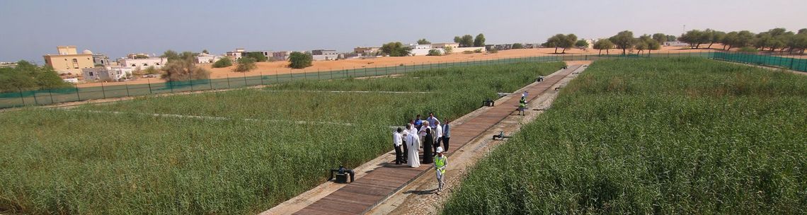 Schilfkläranlage Al Hamra